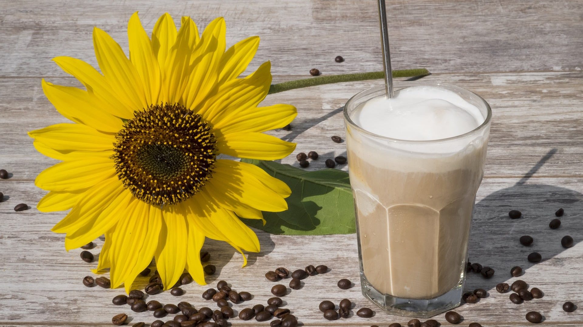 Iced coffee next to a sunflower
